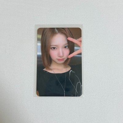 迷二 Lemon Tang WM 1.0 線上 Jiwoo