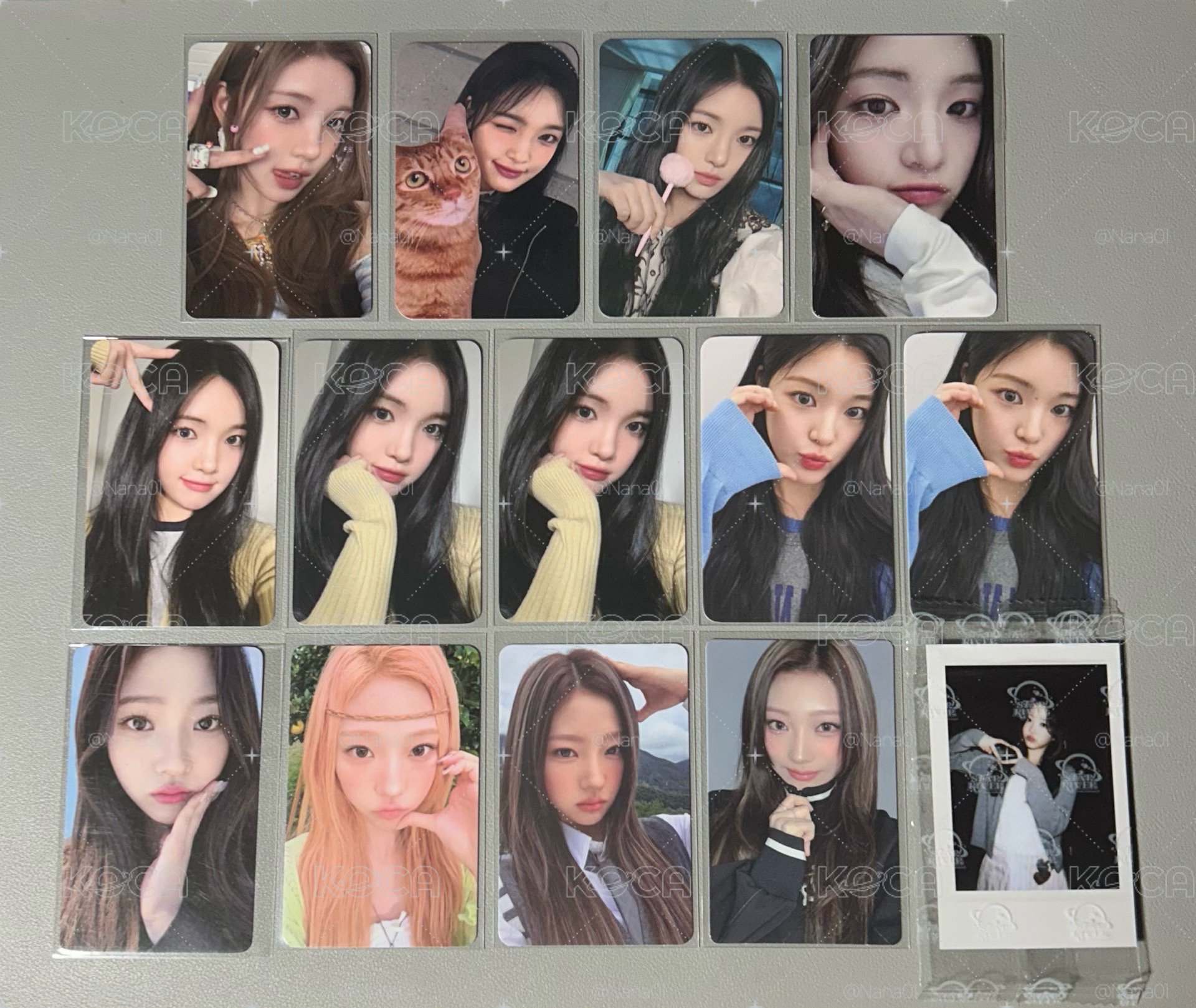 Yuha Stella小卡💞