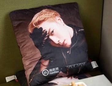 王嘉爾海底撈抱枕