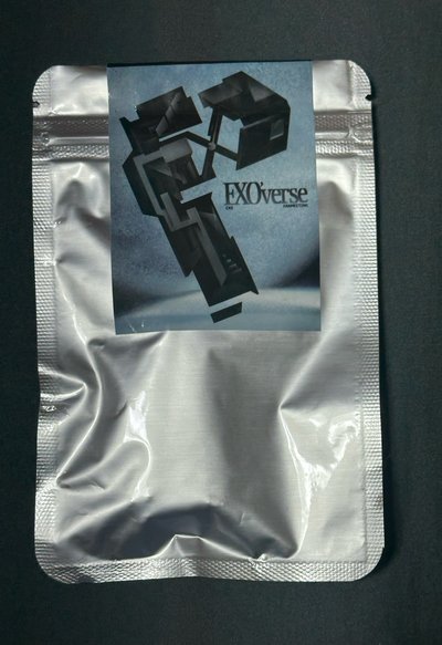 EXOverse 飯咪吊飾盲包