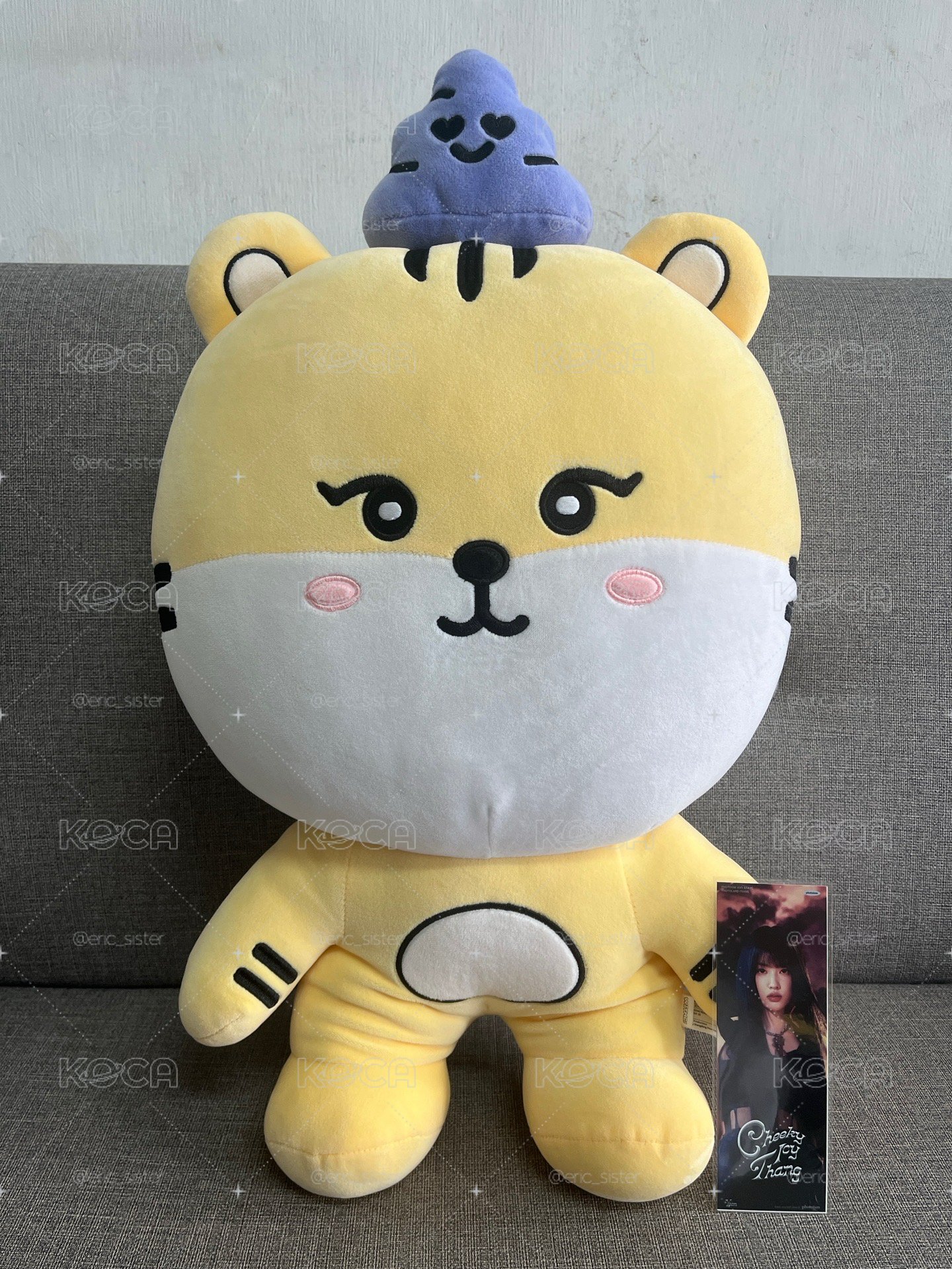 Yoon 生日周邊 大娃