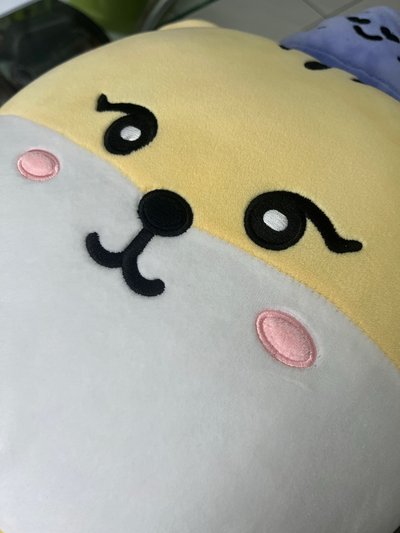 Yoon 生日周邊 大娃