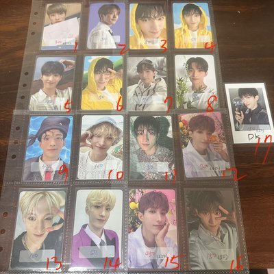 SEVENTEEN 碩卡