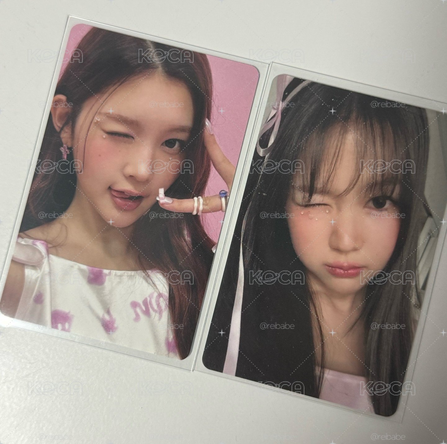 Focus Smini專卡 ANA/YEON