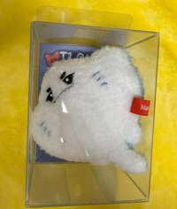 O娃+小卡