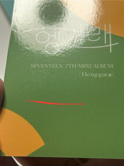 SVT 綠毛衣漢