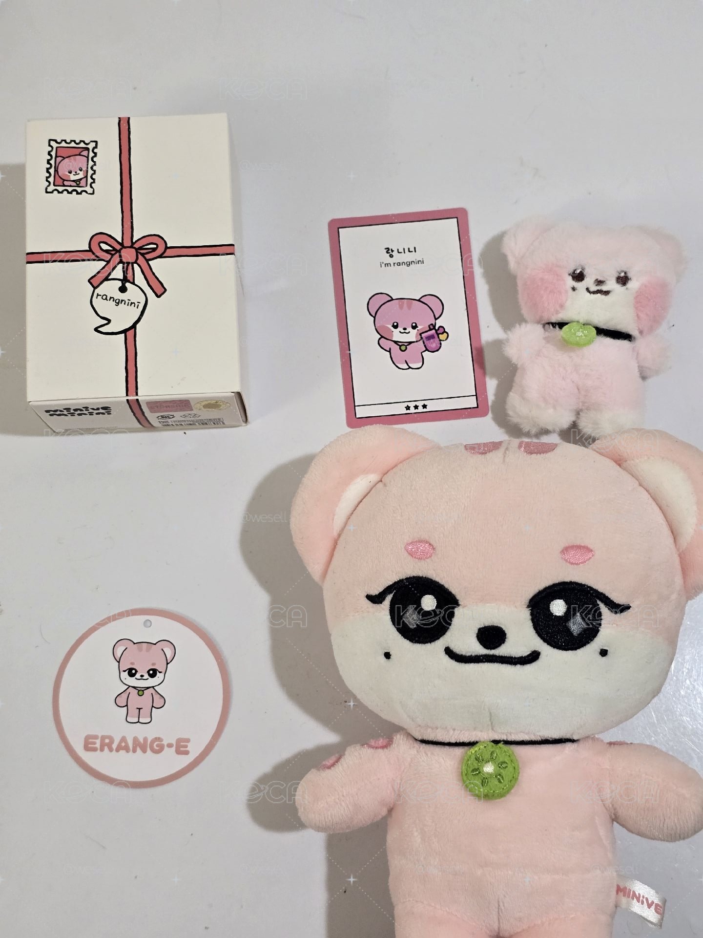 ERANG-E組合🐯