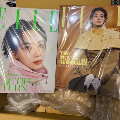 ELLE JAPON 淨漢 雜誌 增刊特別版B 2026/10月