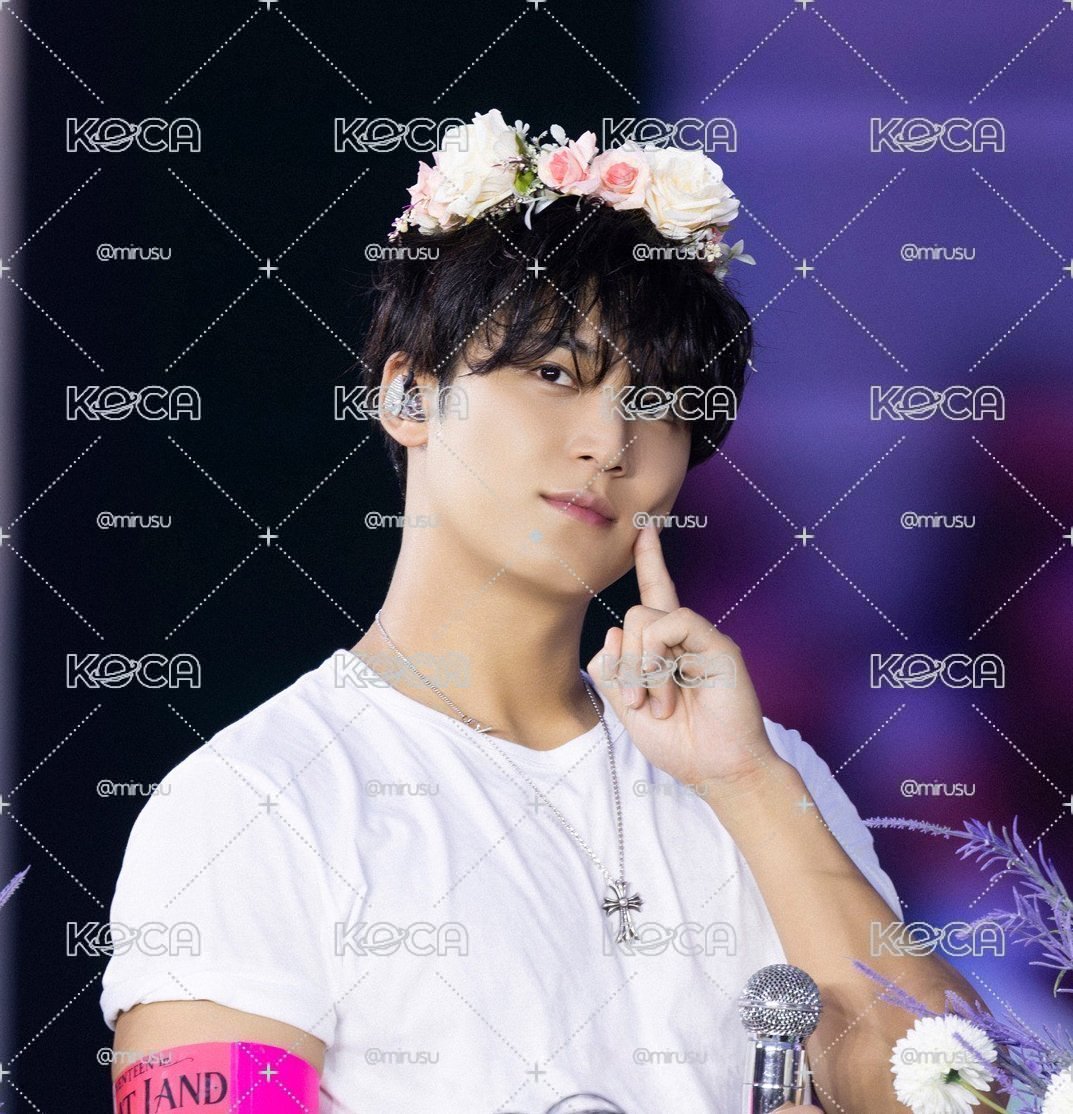 Mingyu 민규 現貨系列