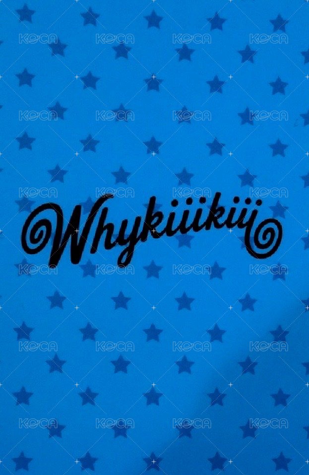 WhyKiiiKiii 專輯卡 PLANET SUNSET ver. 背面