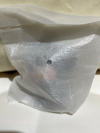 動物派對MINI-無尾熊