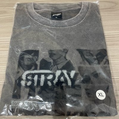 現貨 日周 世巡 全新未拆灰色T恤 XL