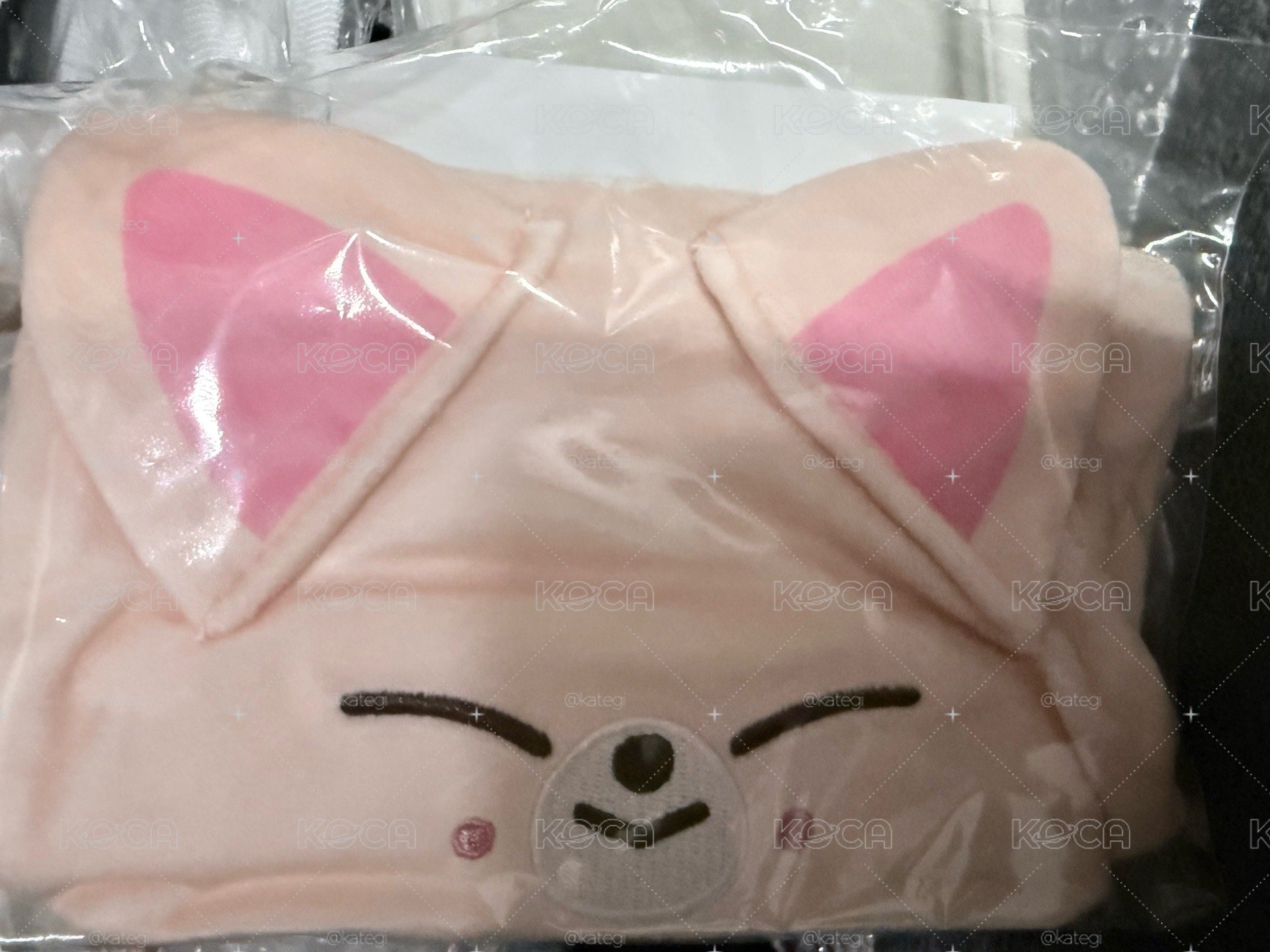 寅 化妝包