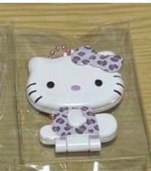 豹紋凱蒂