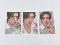 ver.B 托臉琦