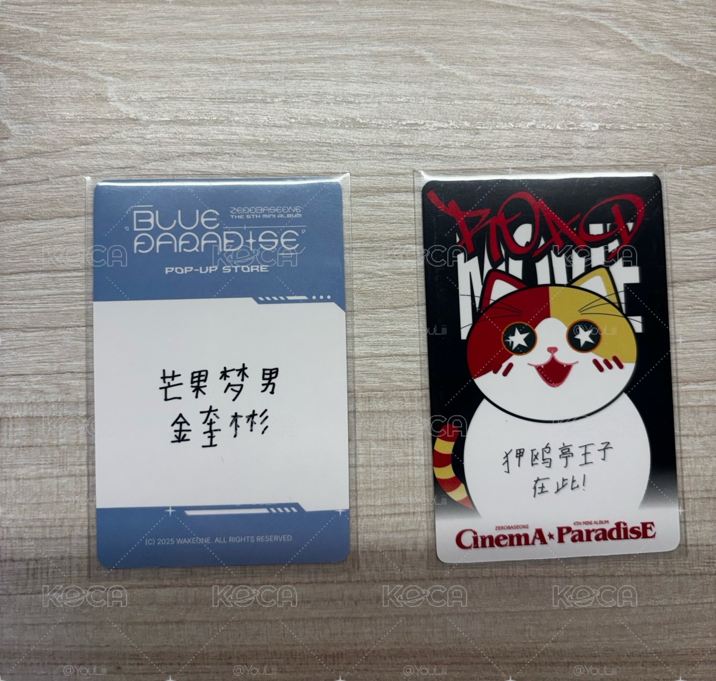 金奎彬 迷四迷五中文卡背特典卡