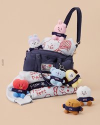 F/W BASIC