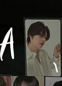p3A1