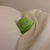 말티도베르만