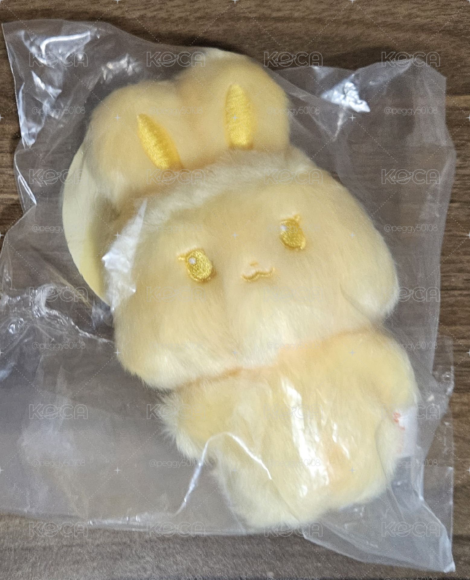 咚星娃盤