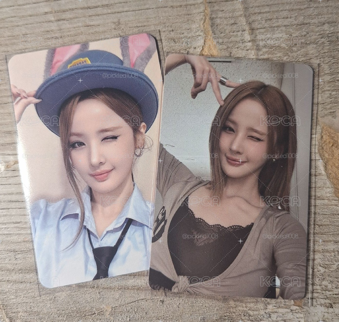 belle🐰