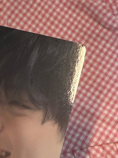🧸現貨 入場彬