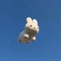 姬