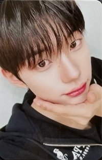 單曲一輯 貝加娛樂BellgaENT 廣州一日店長 簽售卡 