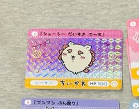 獅薩閃卡