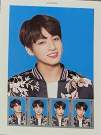 Wings Tour 證件照 國 證件照片組