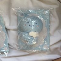 海