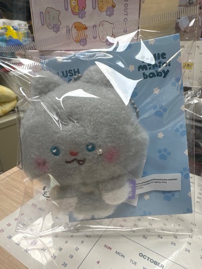 台灣快閃購入 刷小狼磁吸吊飾