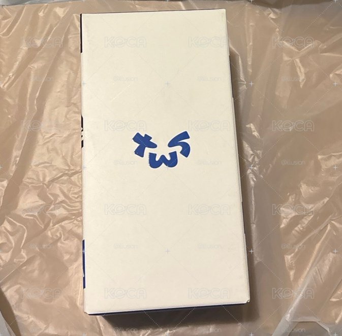 TWS 官方手燈 應援棒