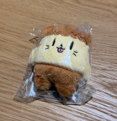 朴志訓 BBOOMI 未拆吊娃 + 小卡
