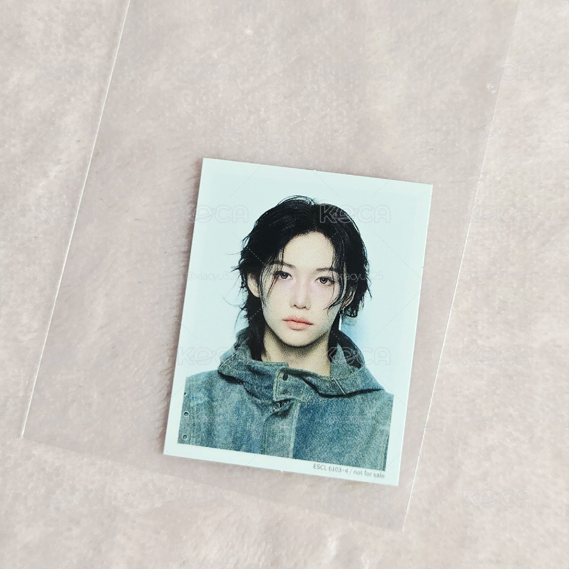 Hollow證件照 菲