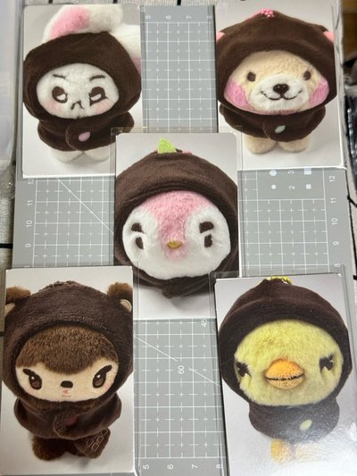 EXO 六巡 娃衣  成員全 版本含娃卡（已先拿出來另外放）