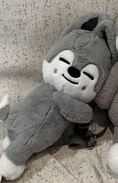 泰迪側背娃燦