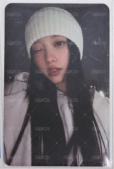 P席貓