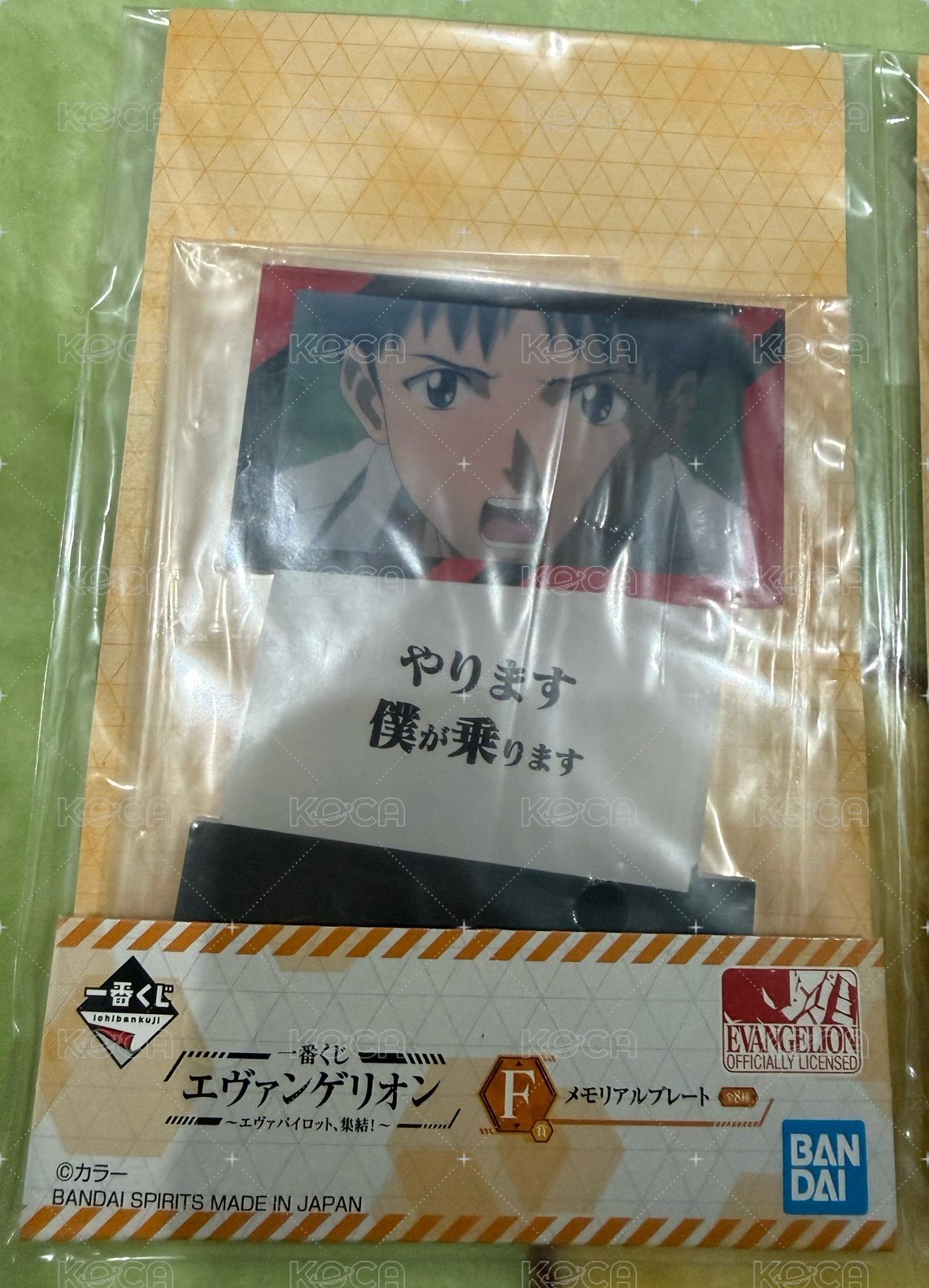 F真嗣
