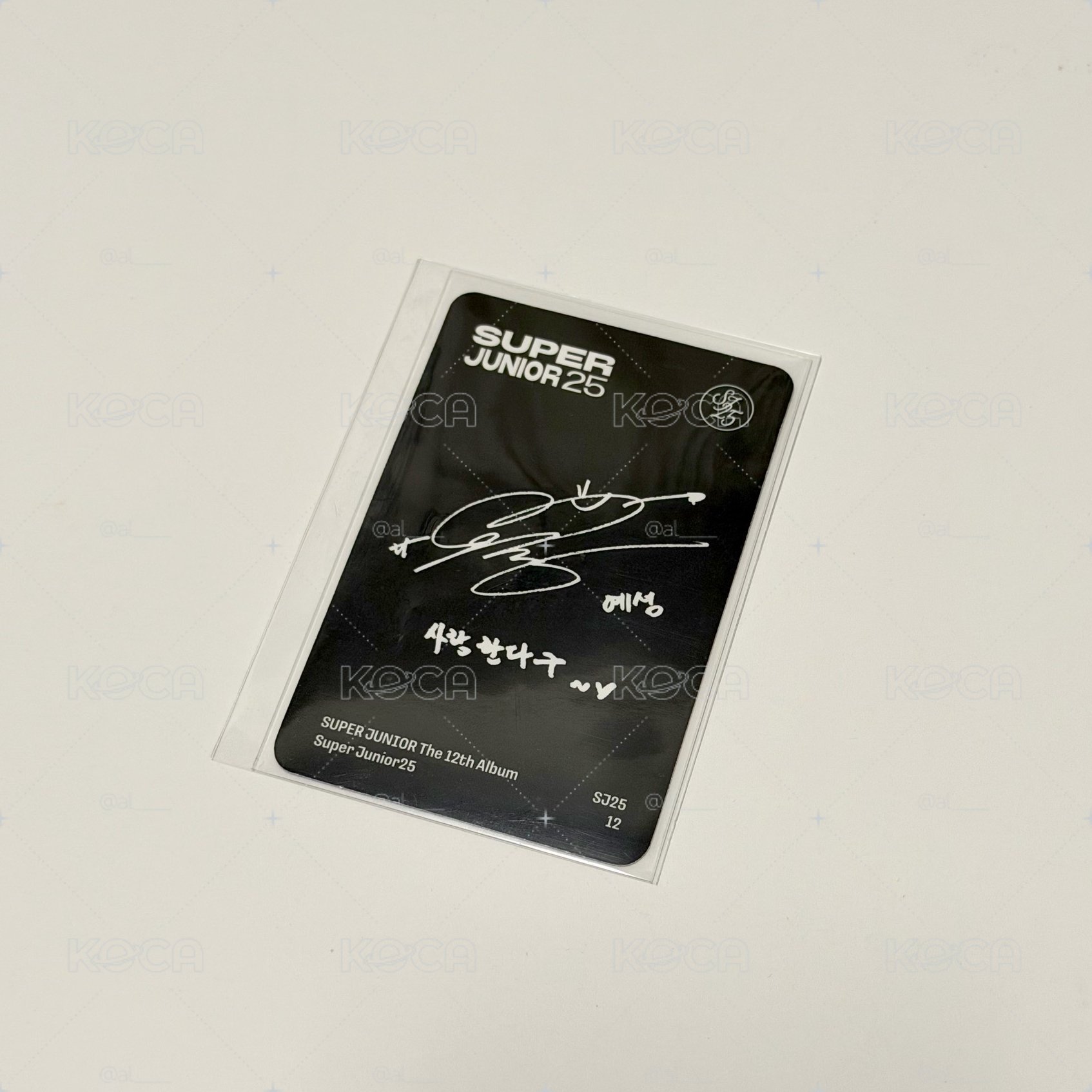 SUPER JUNIOR 藝聲 Super Junior25 PB Ver. 專輯小卡