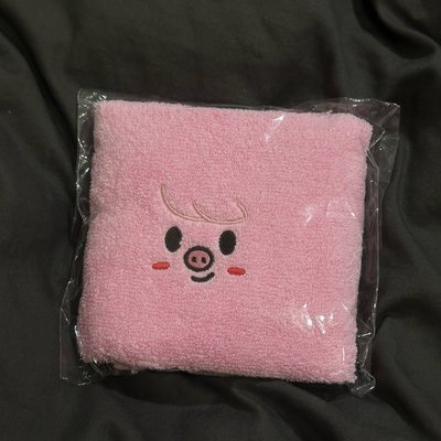 彬入場禮毛巾含玟吊飾