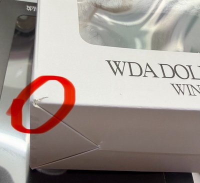 WDA娃娃+隨機滿額卡
