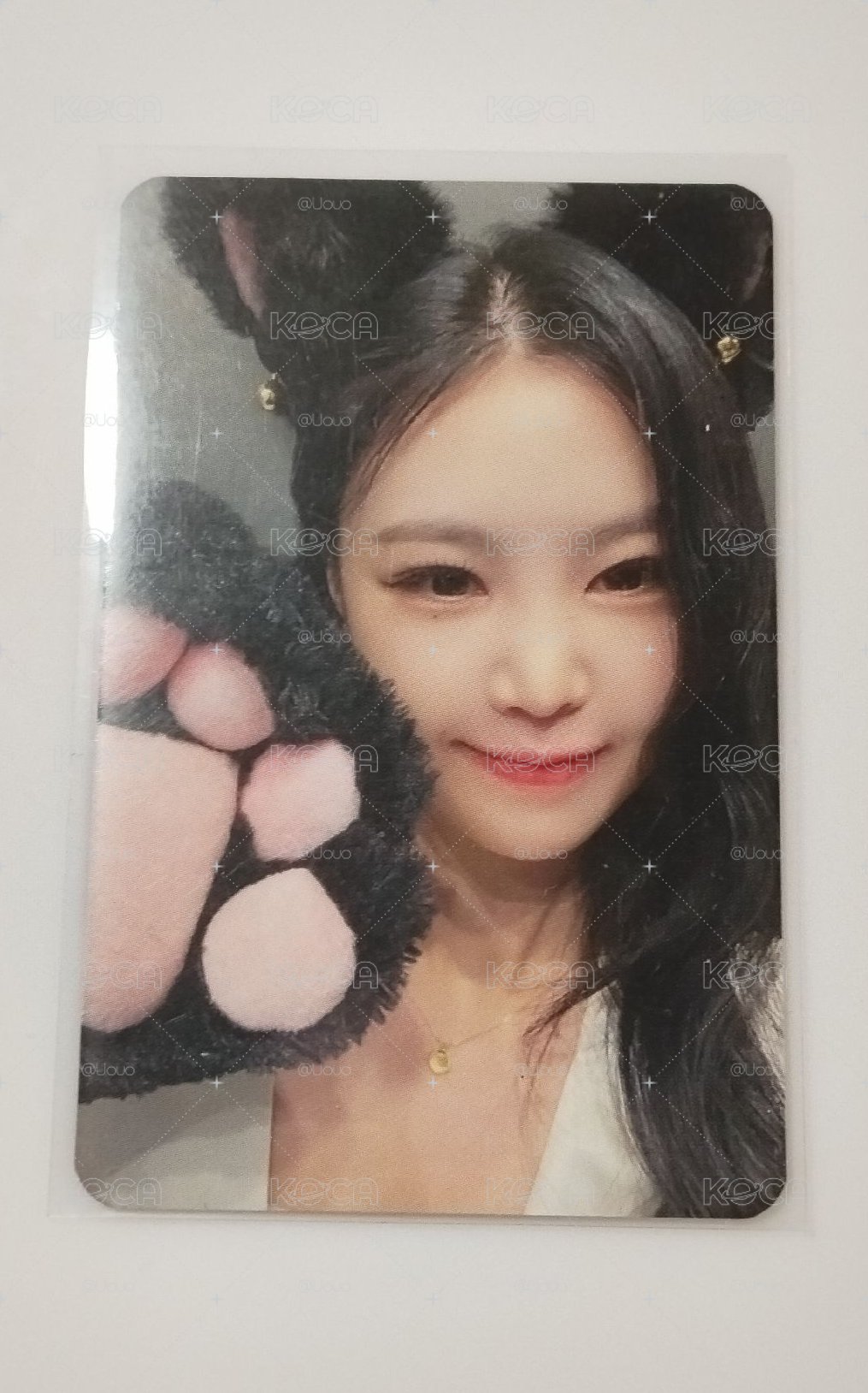 ❕貓爪穗