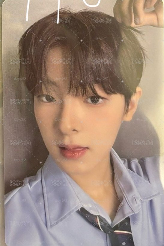 男寶展覽卡🐟