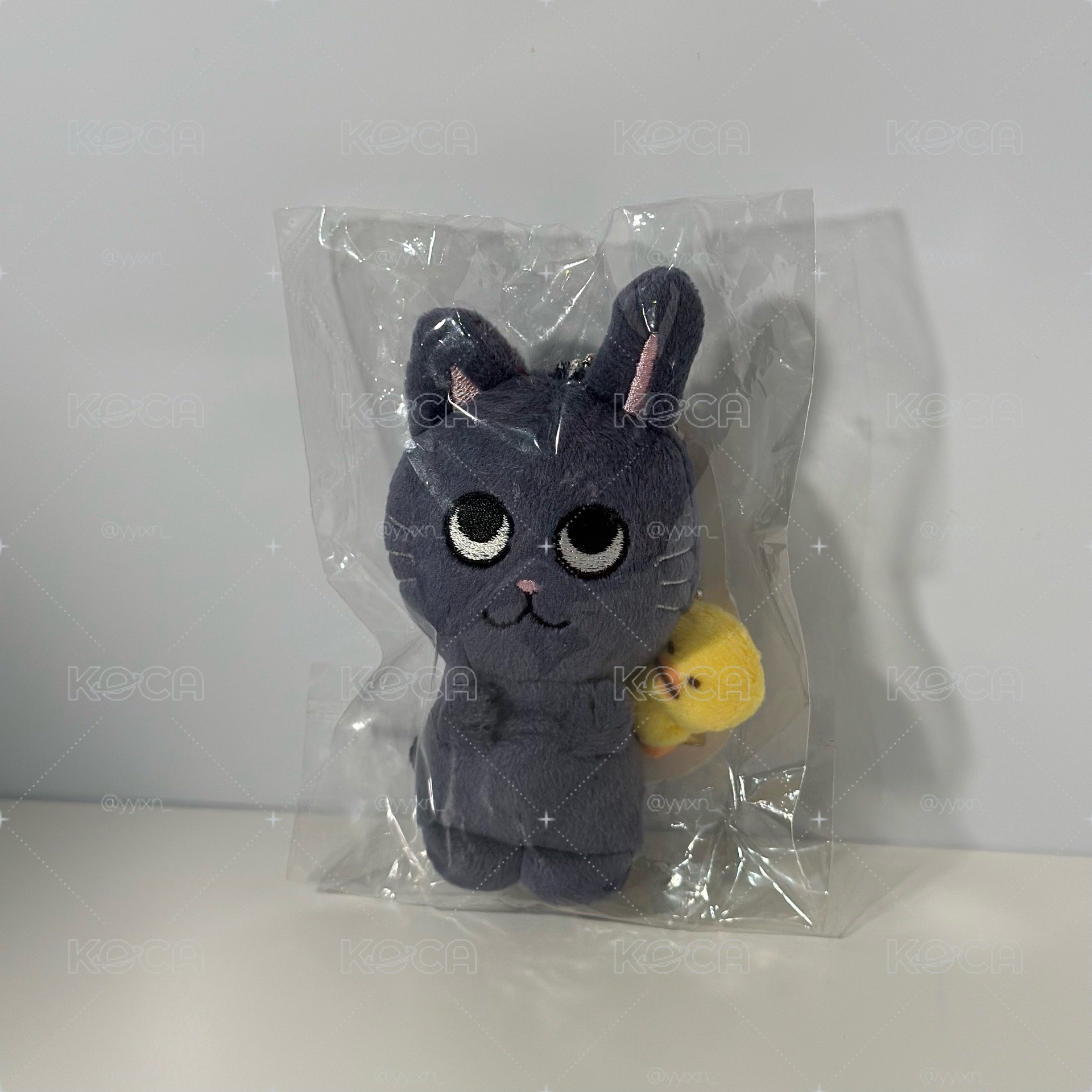 原皮兔貓鴨