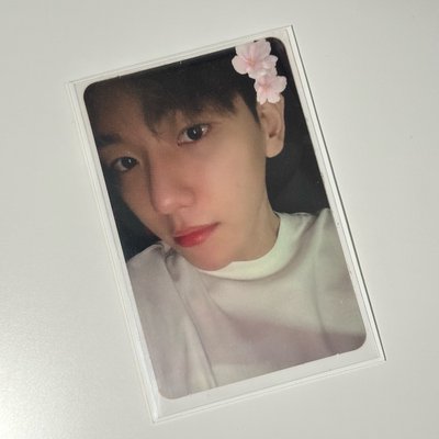 ［捆物區］各種小卡 可單出