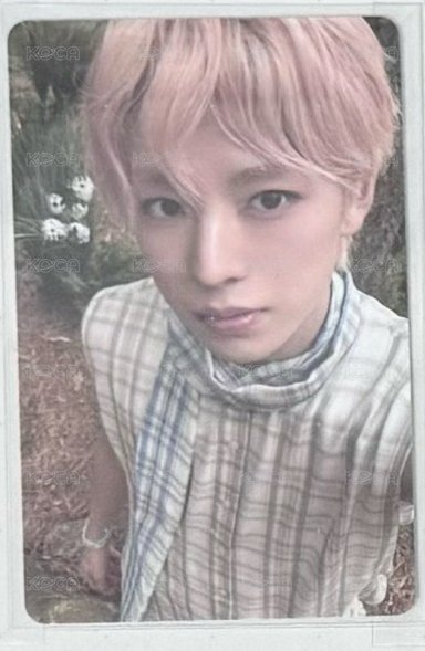 🐱otl