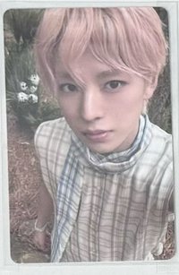 🐱otl