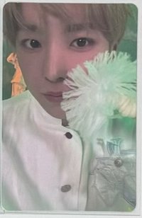 🐱otl jc