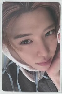 🐰otl